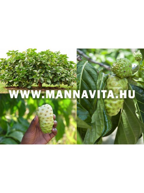 Mannavita Noni Gyümölcslé 500ml